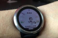 joc-nu-pogodi-pe-ceas garmin  vivoactive 3