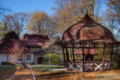 Una dintre vilele lui Ceausescu care le avea la Vaslui