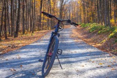 Pauza de sedinta foto