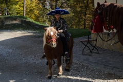 O fetita pe ponei la cetatea rasnov