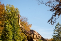 Dino Park