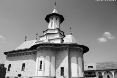 369687431_1068040897727331_9002724802471749856_n