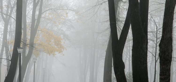 Parcul Copou intr-o dimineață de toamna