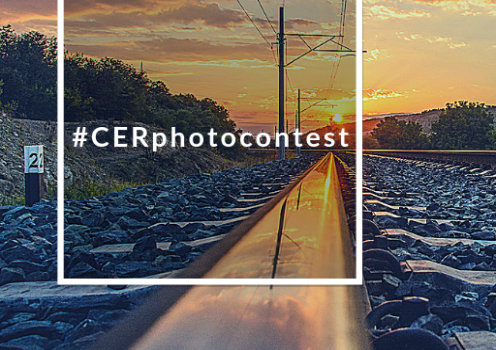 castigator concurs foto