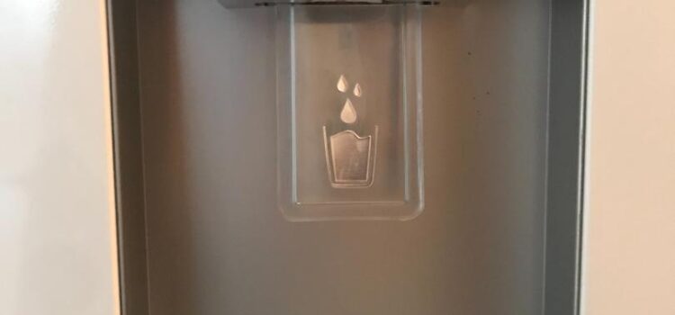 Review Combina Frigorifica BEKO NeoFrost de 386litri cu dozator de apa (Video)