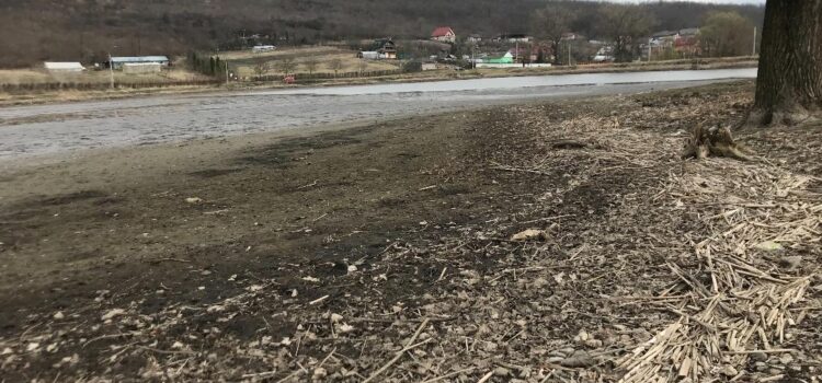 Adio pescuit in aceasta vara pe lacul Delea din Vaslui (Video)