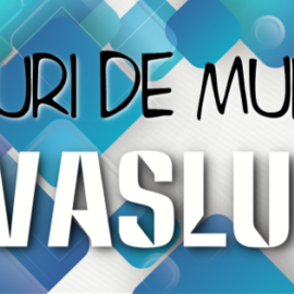 Iata ce locuri de munca vacante sunt saptamana asta in judetul Vaslui!