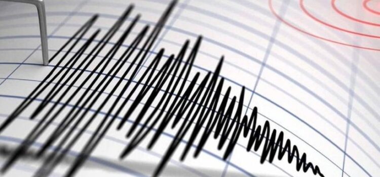 Cutremur cu maginitudinea de 4.1 produs in Vrancea la ora 19:08:18, s-a simtit si la Vaslui!