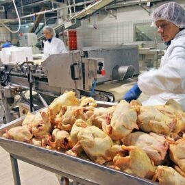 LOCURI DE MUNCA VACANTE IN JUDETUL VASLUI LA DATA: 27.10.2022