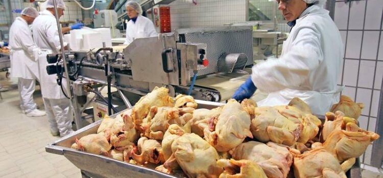 LOCURI DE MUNCA VACANTE IN JUDETUL VASLUI LA DATA: 27.10.2022