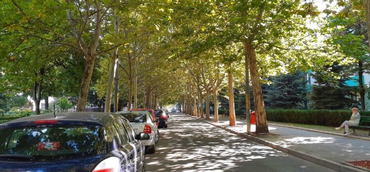 Primaria Vaslui anunta ca inchide strada „Mihail Kogălniceanu” pentru asfaltare!