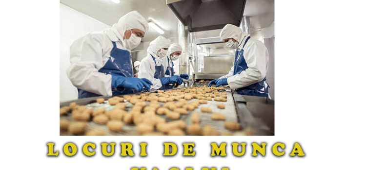 Locuri de muncă vacante in judetul Vaslui la data: 13.07.2023 | Vaslui 166 | Barlad 119 si Husi 78